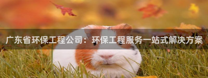 彩名堂免费计划客户端官网