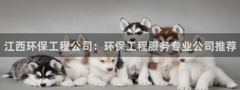 彩名堂平台
