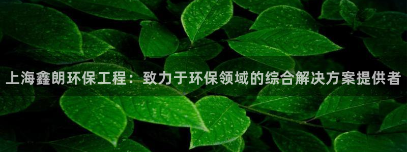 为什么彩名堂今天不能用