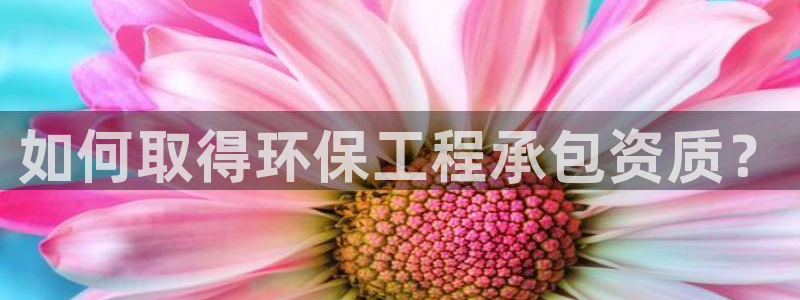 彩名堂一直不出结果怎么回事呀