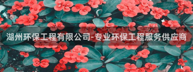 彩名堂免费计划软件下载