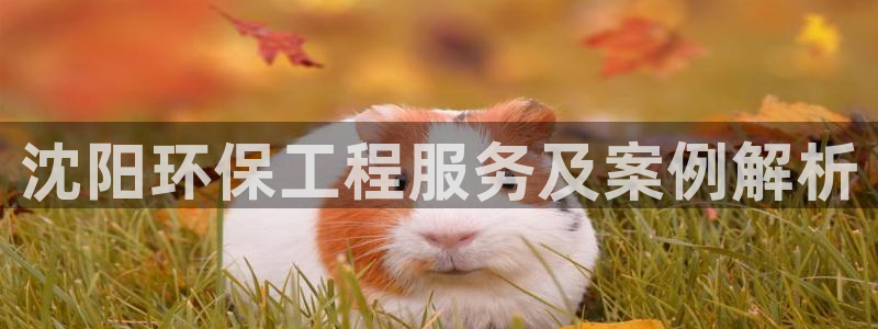 彩名堂免费计划官网50