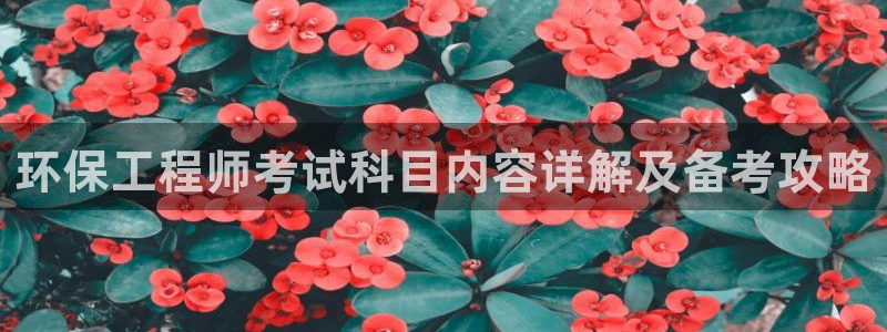 彩名堂免费计划官网50