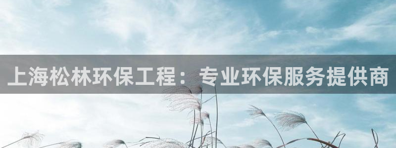 彩名堂好用还是千里马好用一点