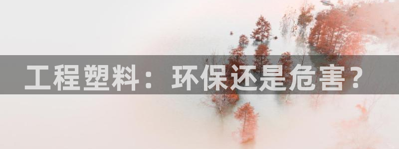 正规彩名堂官网计划