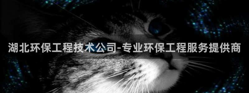彩名堂幸运飞船计划