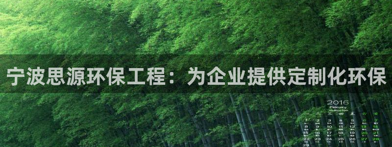 彩名堂预测官网：宁波思源环保工程：为企业提供定制化环保