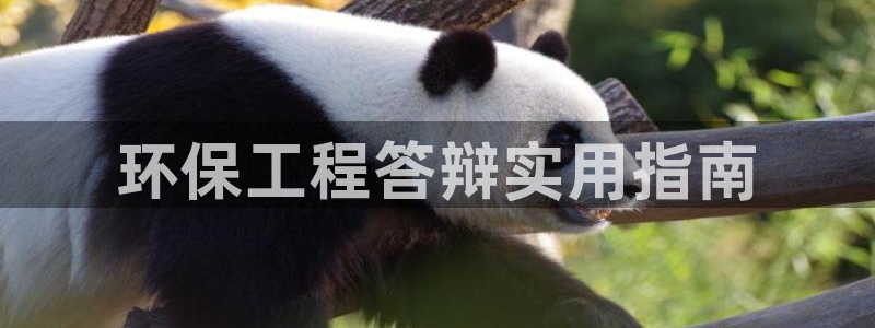 彩名堂移动客户端官网：环保工程答辩实用指南