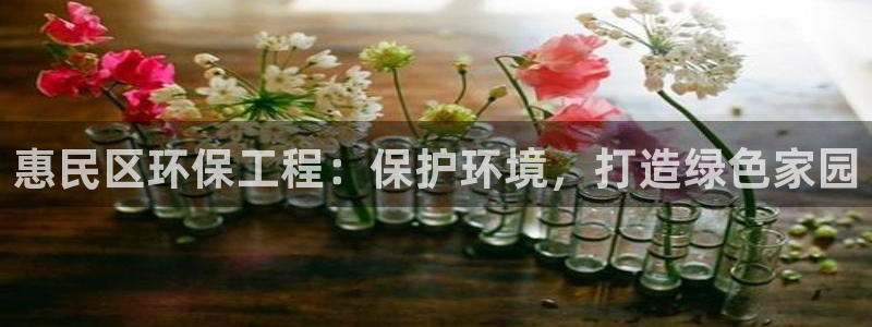 老版本彩名堂计划软件：惠民区环保工程：保护环境，打造绿色家园