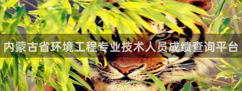 彩名堂免费计划软件下载