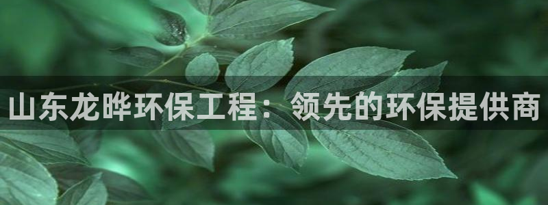 下载彩名堂预测计划软件安全吗：山东龙