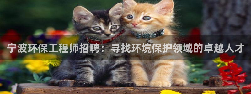 彩名堂官网网页计划：宁波环保工程师招聘：寻找环境保护领域的卓