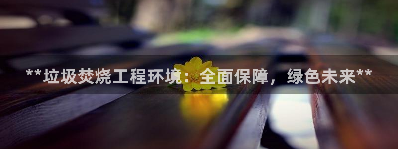 彩名堂官方下载地址：**垃圾焚烧工程