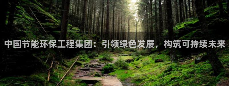 彩名堂移动客户端是什么：中国节能环保