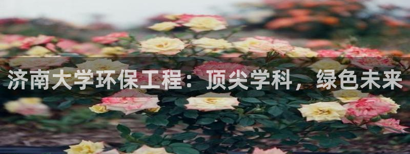 彩名堂二维码：济南大学环保工程：顶尖